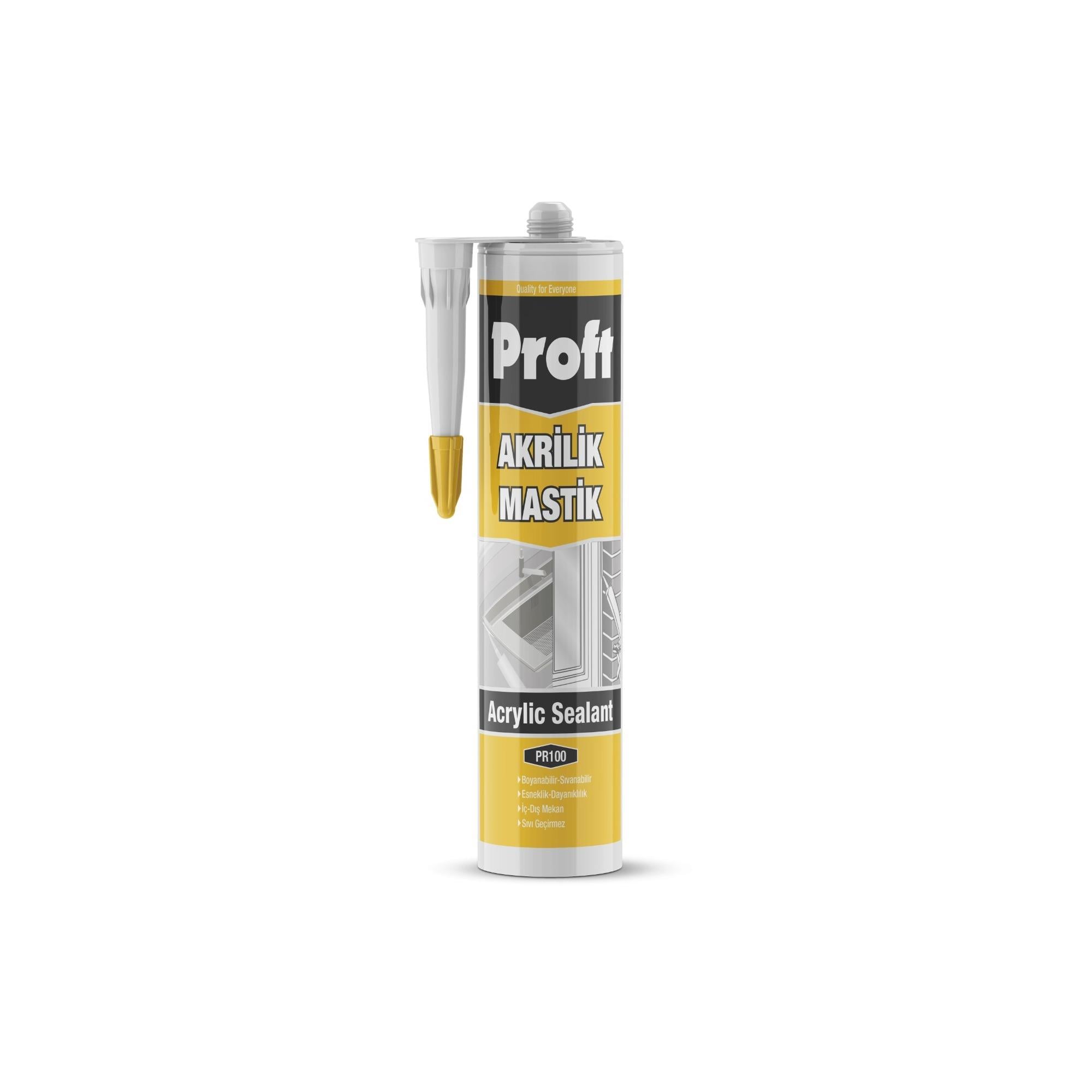PROFT AKRİLİK MASTİK 450 GR (PR100) BEYAZ