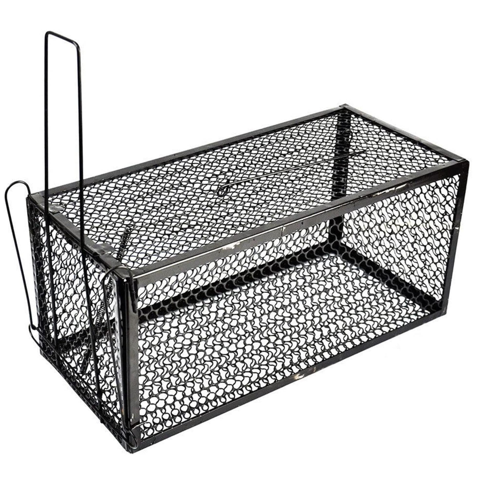 MOUSE TRAP FARE KAPANI (24x11x11)