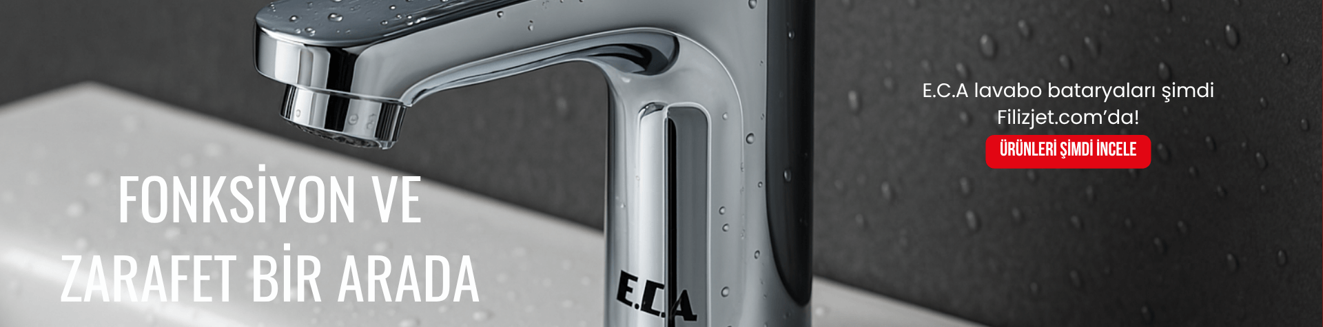 ECA Banner