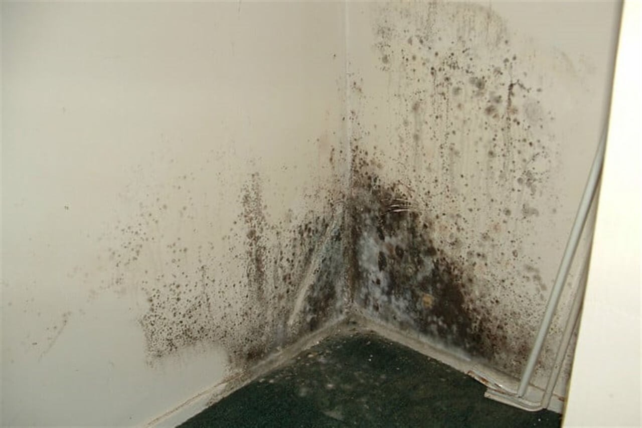 Dryfix Nm-S10 Nem Rutubet Boyası 5 Kg