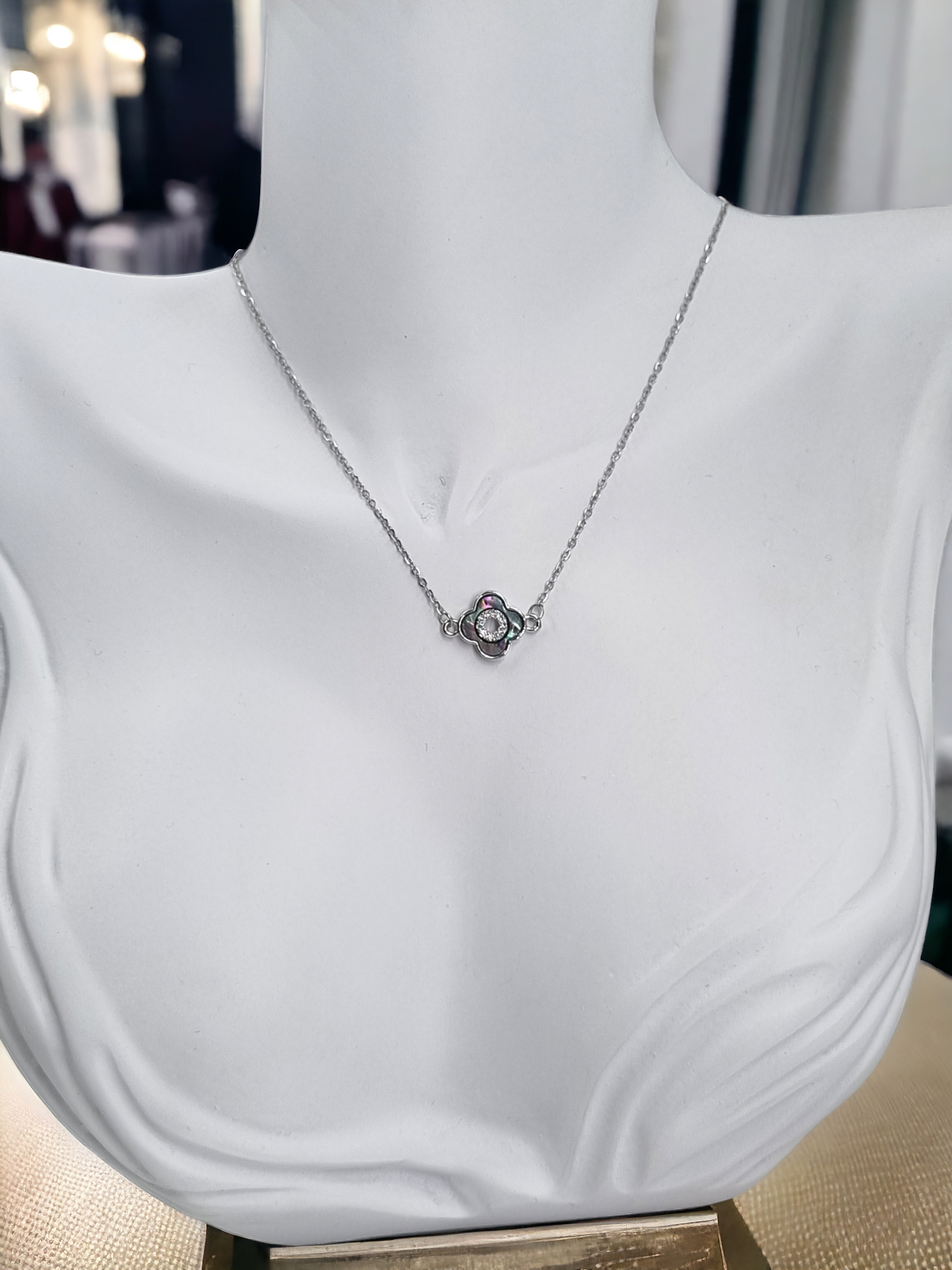 Çelik Kolye ÇKLY250