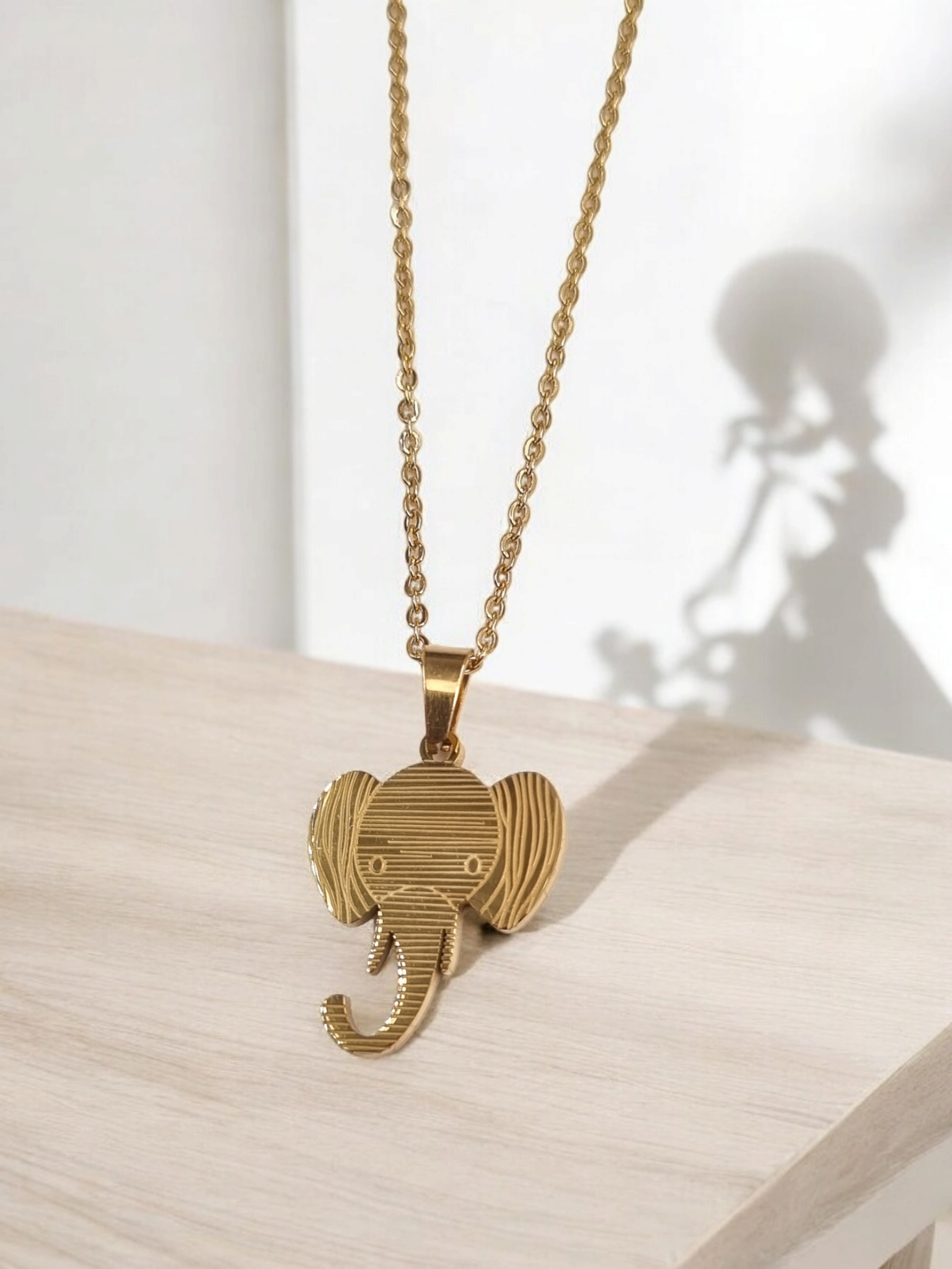 Çelik Kolye ÇKLY459