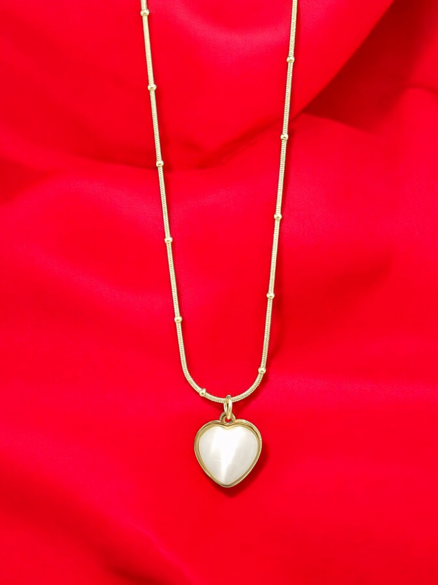 Çelik Kolye ÇKLY486