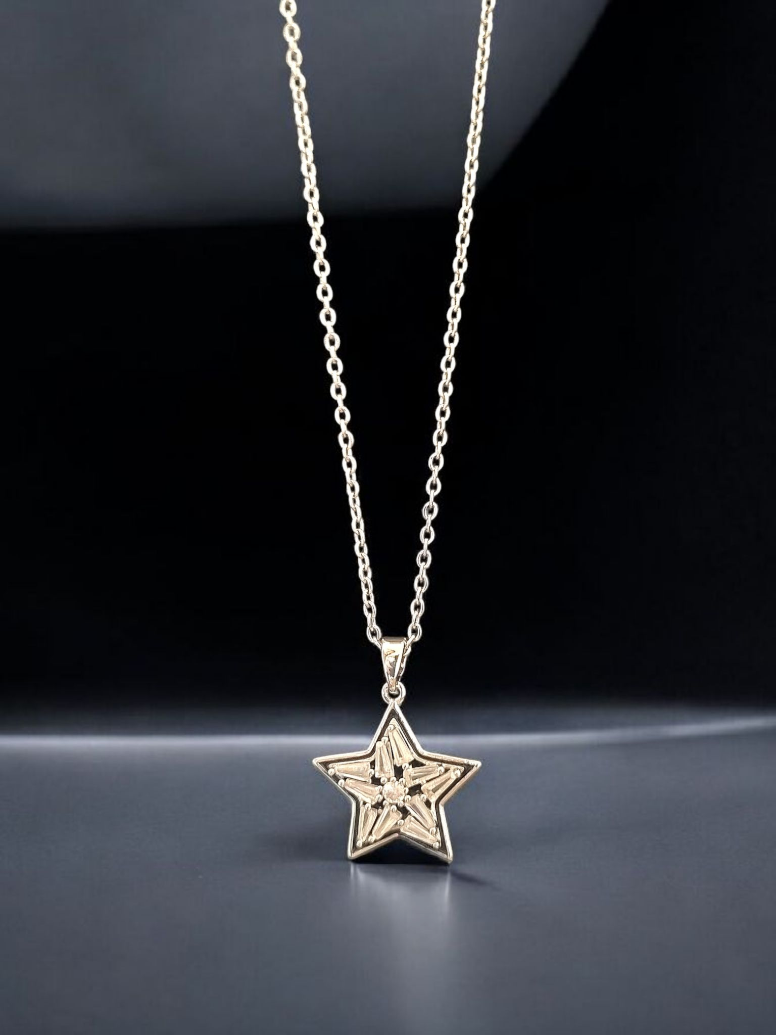 Çelik Kolye ÇKLY920