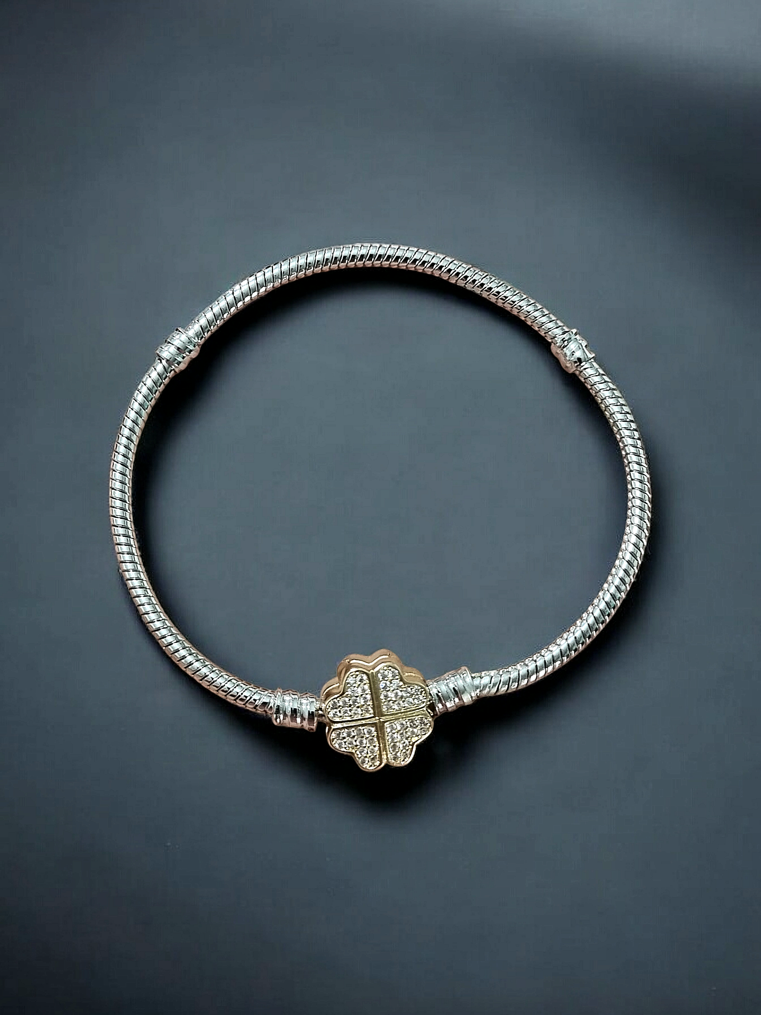 Çelik Pandora Bileklik Ç09