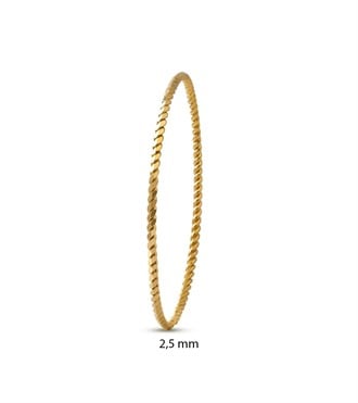 10 Gram Burgu Altın Bilezik