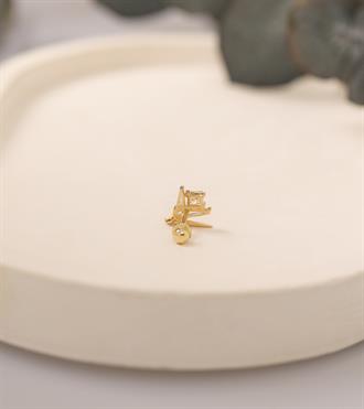 Nilüfer Piercing (Tragus)