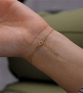 Rüzgar Gülü Şahmeran