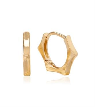 Asimetrik Halka Küpe