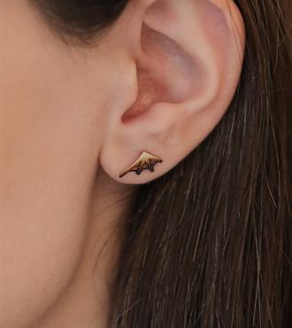 Örümcek Ağı Vidalı Küpe