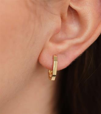 Altıgen Halka Küpe