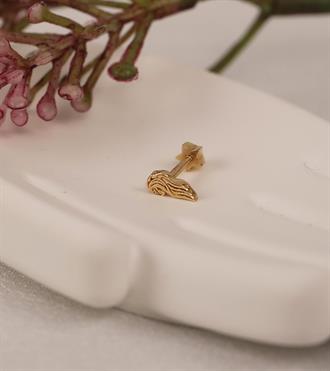 Aslan Yelesi Piercing (Tragus)