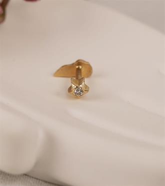 Aslan Yelesi Piercing (Tragus)