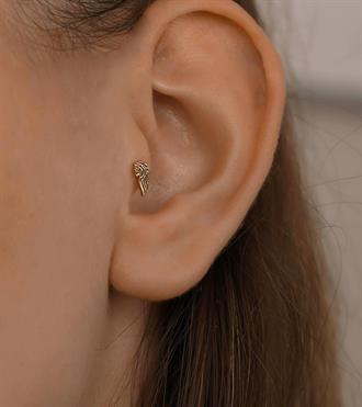 Aslan Yelesi Piercing (Tragus)