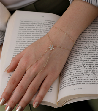 Rüzgar Gülü Şahmeran