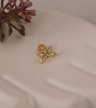 Beş Yaprak Piercing (Tragus)