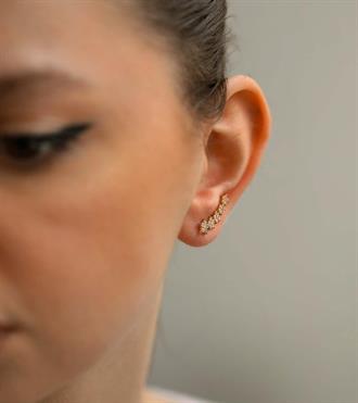 Beş Yıldız Vidalı Küpe