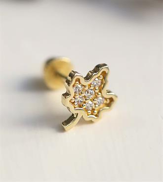 Çınar Yaprağı Piercing (Tragus)