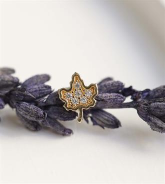 Çınar Yaprağı Piercing (Tragus)