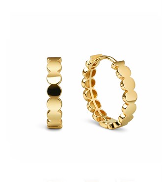 Daire Dizilim Halka Küpe