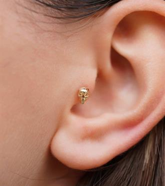 Kuru Kafa Piercing (Tragus)