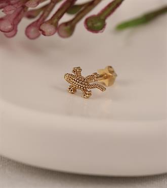 Lizzard Piercing (Tragus)