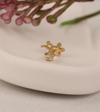 Lizzard Piercing (Tragus)