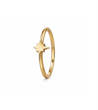 Mini Kutup Yıldızı Yüzük