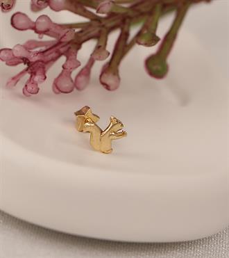 Sincap Piercing (Tragus)