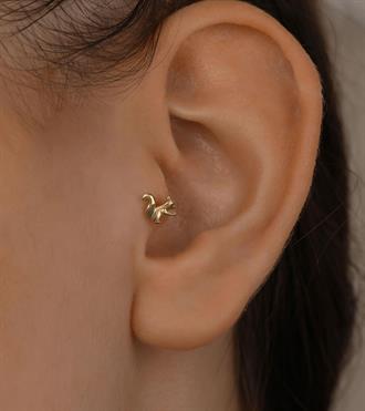 Sincap Piercing (Tragus)
