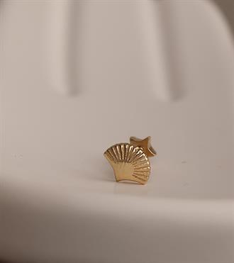 Yelpaze Piercing (Tragus)