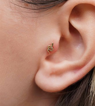 Yılan Piercing
