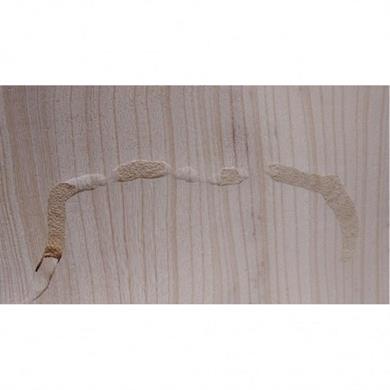 CLOU 01115.00000 Su Bazlı Ahşap Kurt Dökücü 250ml