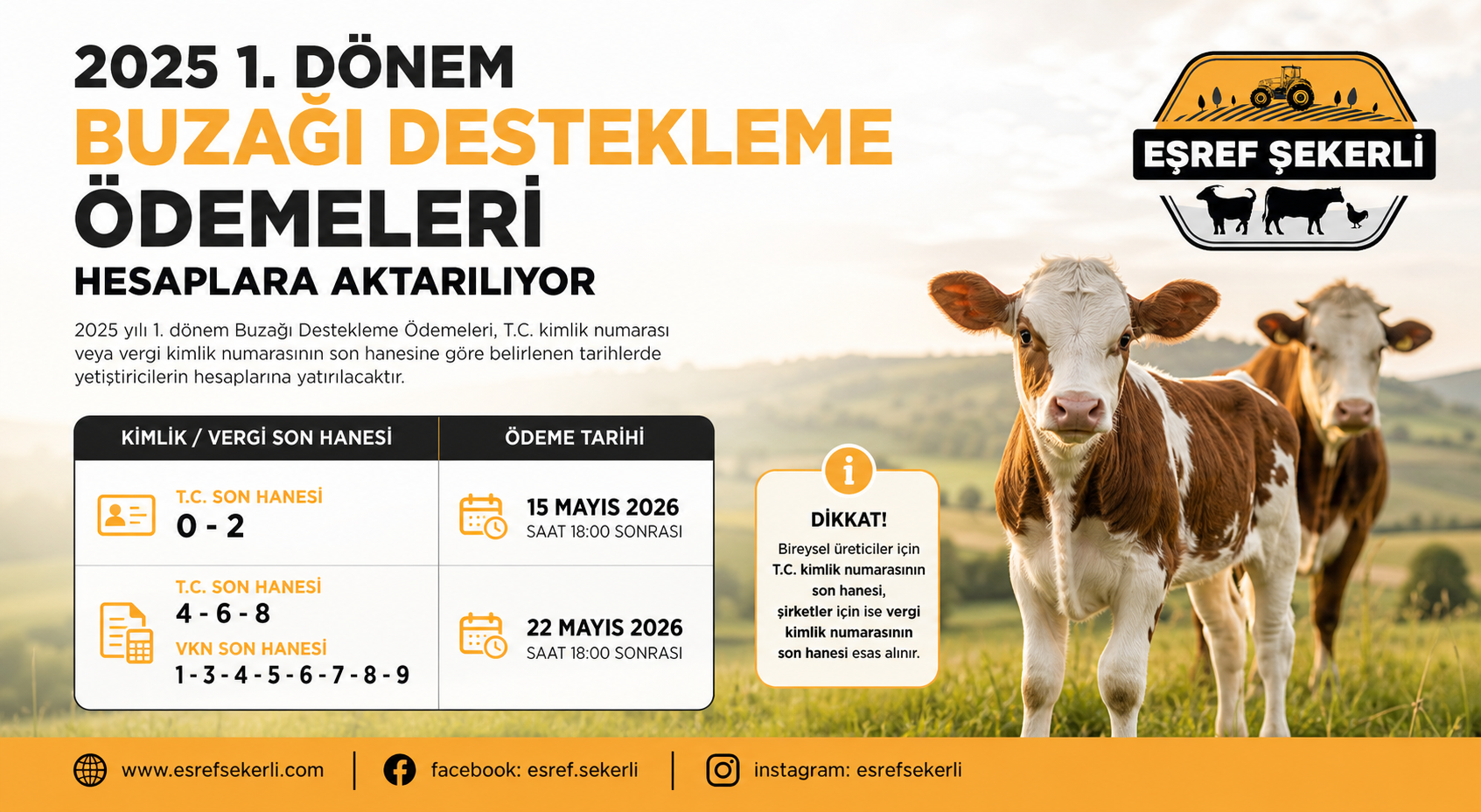 2025 yılı 1. dönem buzağı destekleme ödemeleri ödeme takvimi ve yetiştirici destek duyurusu