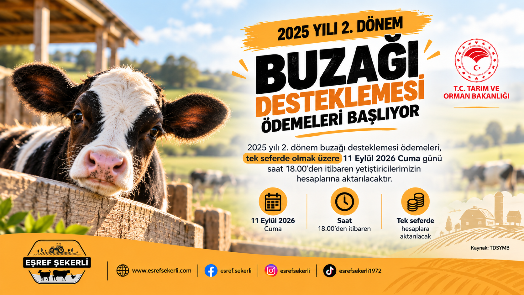 2025 yılı 2. dönem buzağı desteklemesi ödemeleri