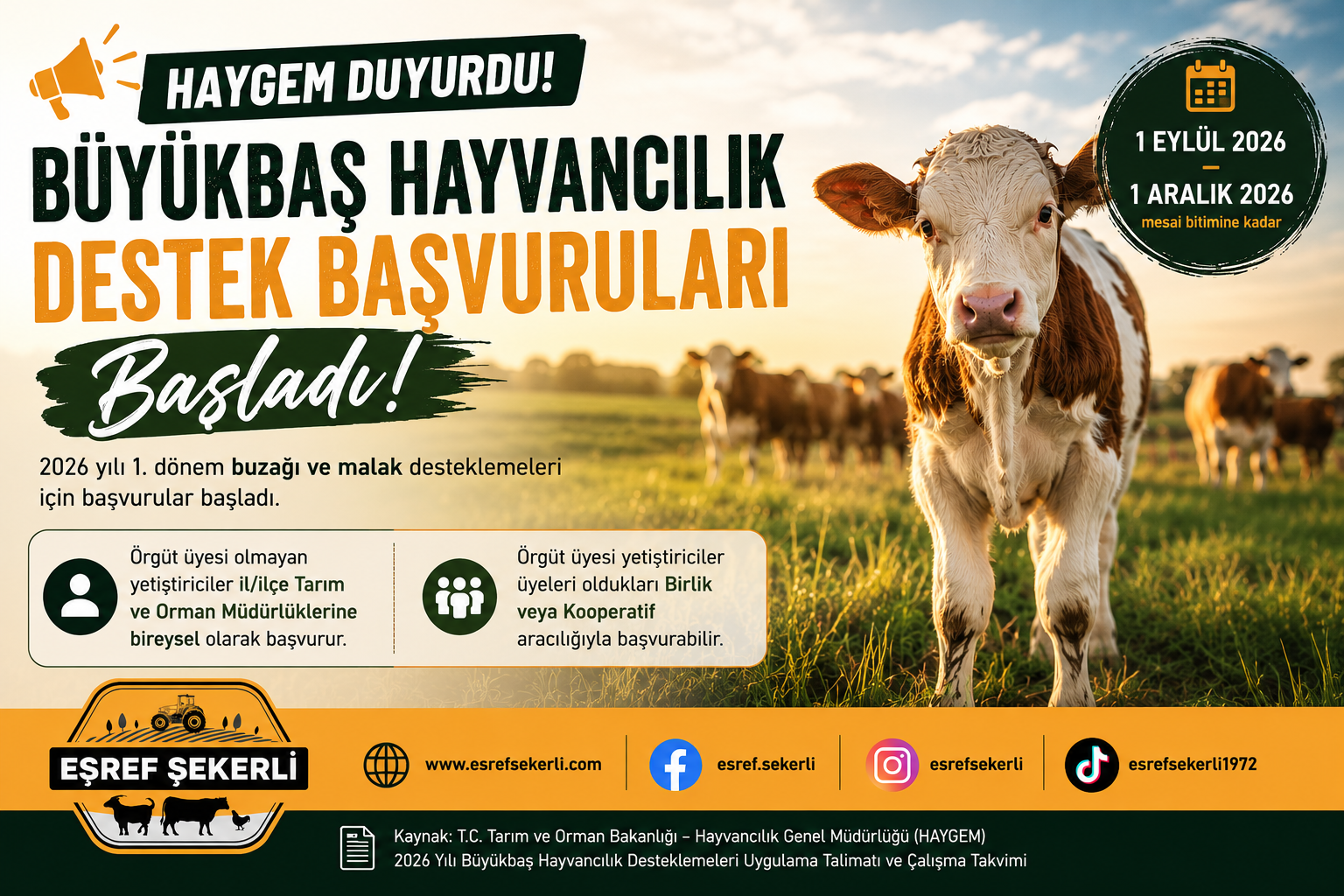 2026 büyükbaş hayvancılık destekleme başvuruları buzağı ve malak desteği