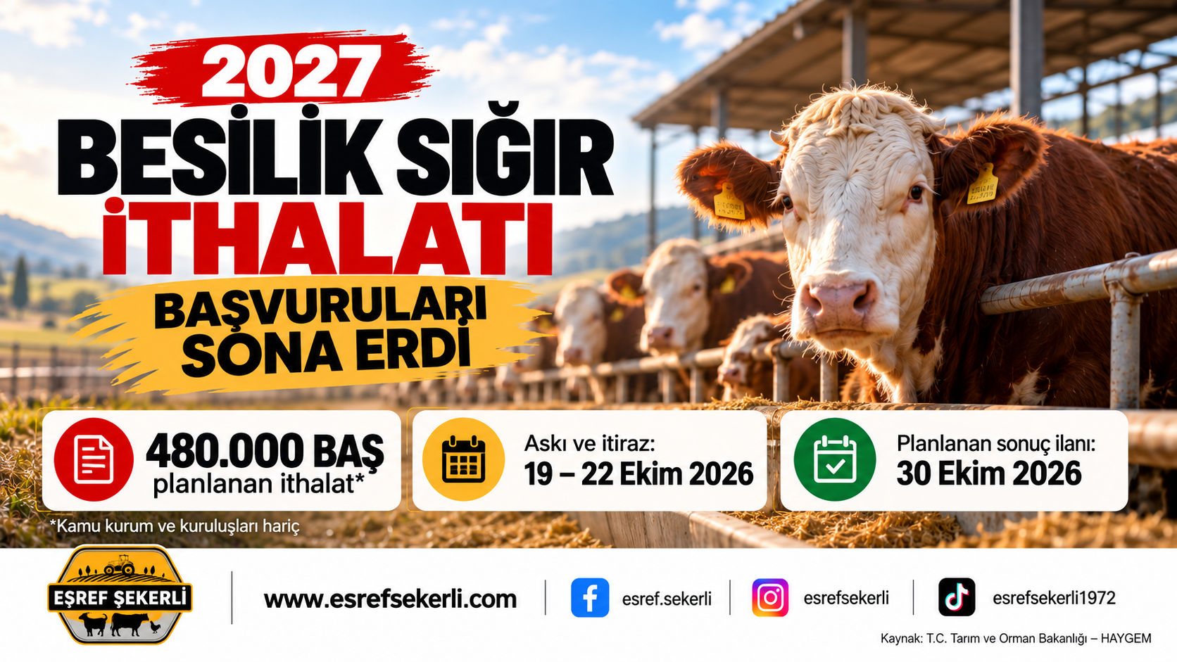 2027 besilik sığır ithalatı başvuruları sona erdi – 480 bin baş kontenjan, itiraz ve sonuç açıklama takvimi