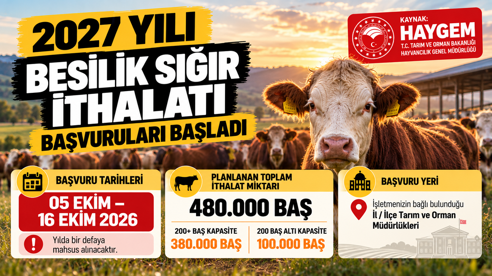 2027 yılı besilik sığır ithalatı başvuruları başladı HAYGEM