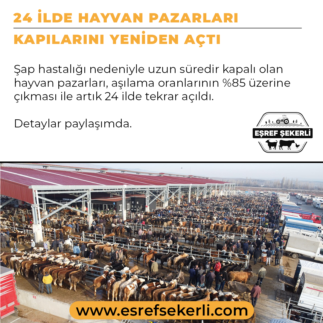 Hayvan Pazarları, Şap Hastalığı, Tarım ve Orman Bakanlığı, Hayvancılık Haberleri, Hayvan Pazarları Açıldı, Tarım Gündemi, Aşılama Oranları