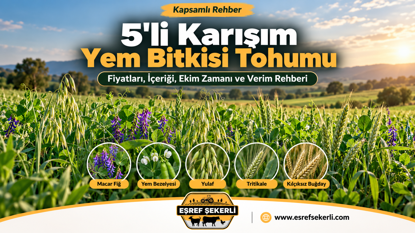 5'li karışım yem bitkisi tohumu rehberi – Macar fiğ, yem bezelyesi, yulaf, tritikale ve kılçıksız buğday – Eşref Şekerli