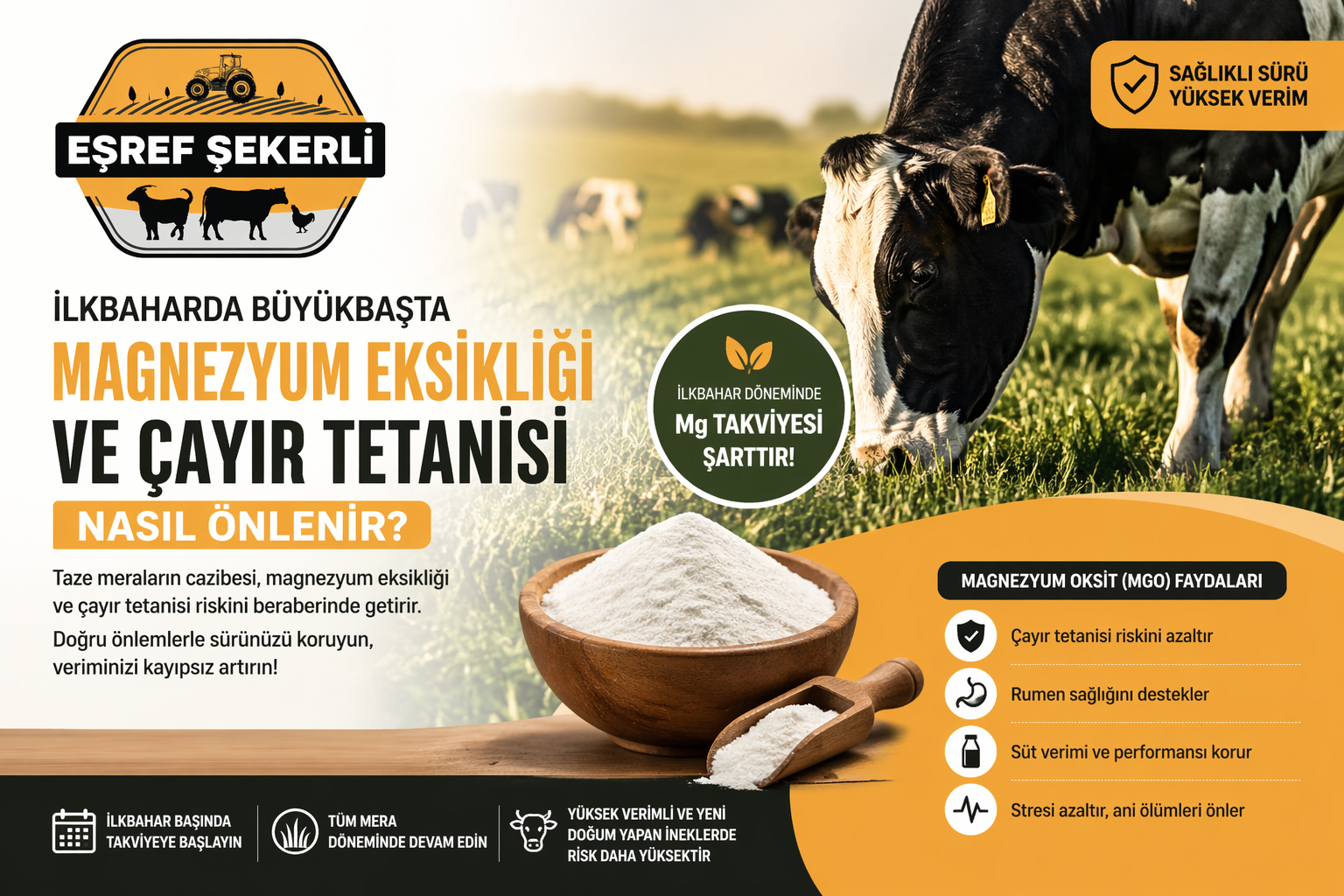 İlkbaharda Büyükbaşta Magnezyum Eksikliği ve Çayır Tetanisi: Belirtiler ve Kesin Çözüm