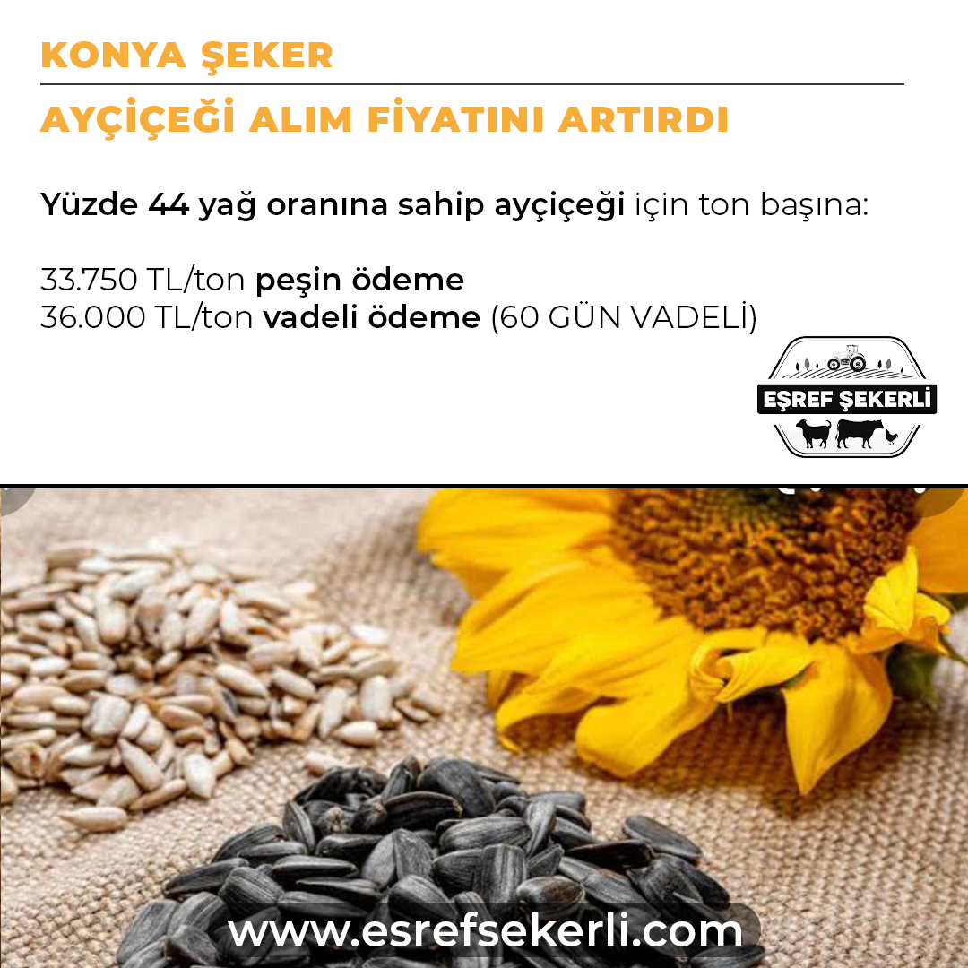 Konya Şeker, Ayçiçeği Alım Fiyatı 2025, Tarım Haberleri, Yağlı Tohumlar, Çiftçi Destekleri, Tarım Fiyatları 2025