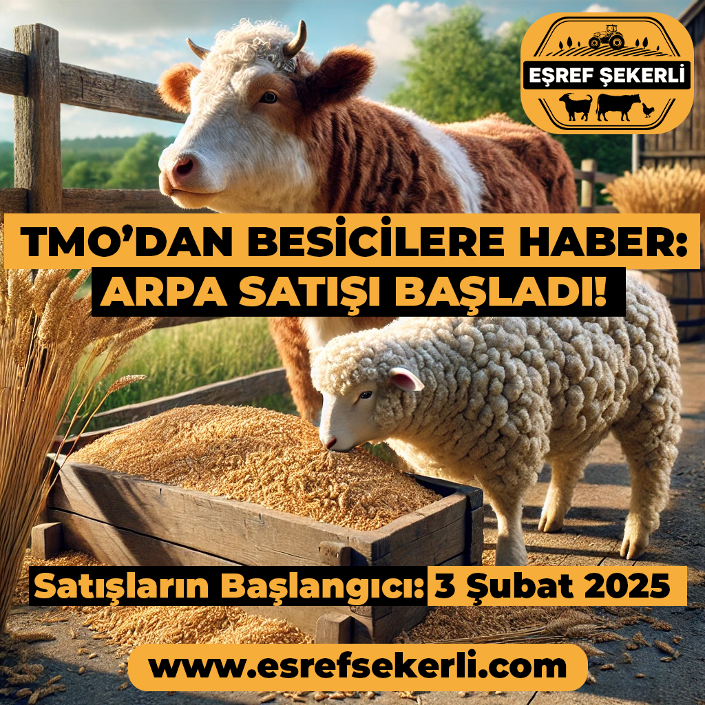 tmo, arpa, besi, hayvancılık