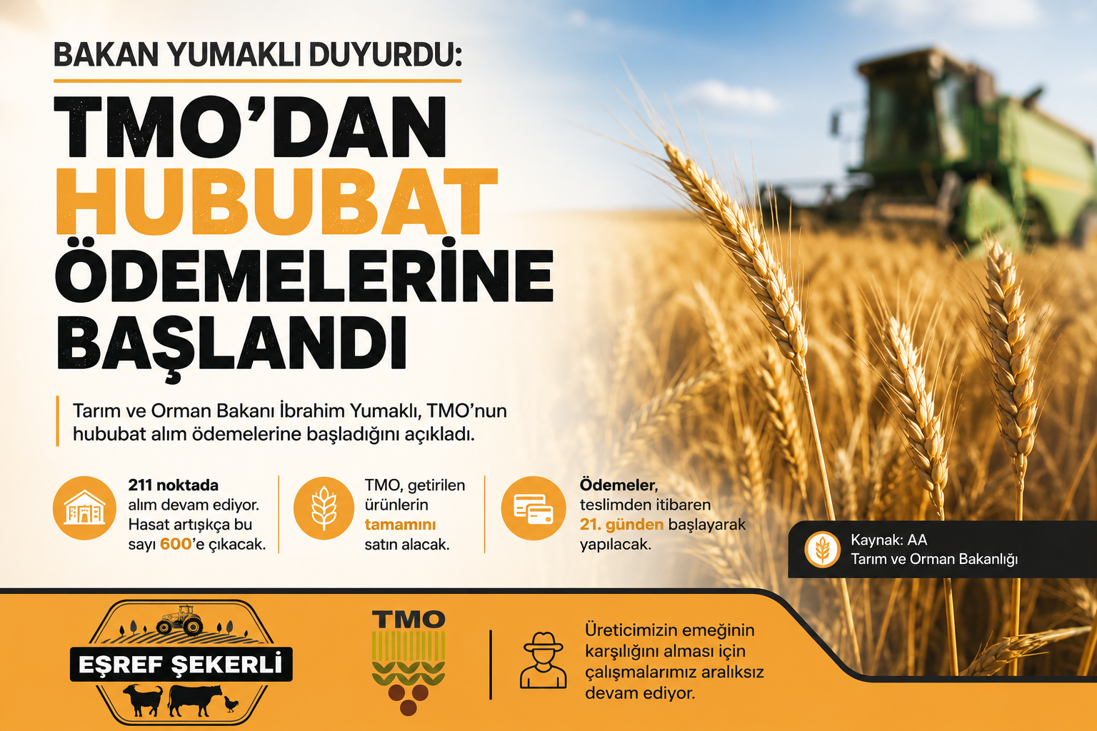 2026 TMO hububat alım ödemeleri hakkında Tarım ve Orman Bakanlığının açıklamasını temsil eden buğday tarlası ve biçerdöver görseli.