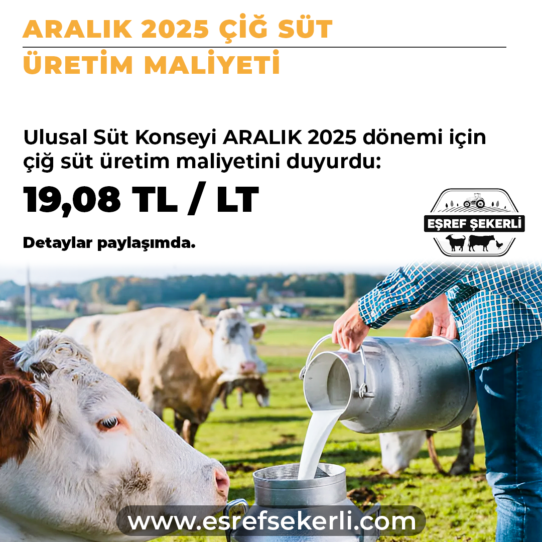 Ulusal Süt Konseyi 1 Litre Çiğ Süt Üretim Maliyeti Çalışması (Aralık 2025)