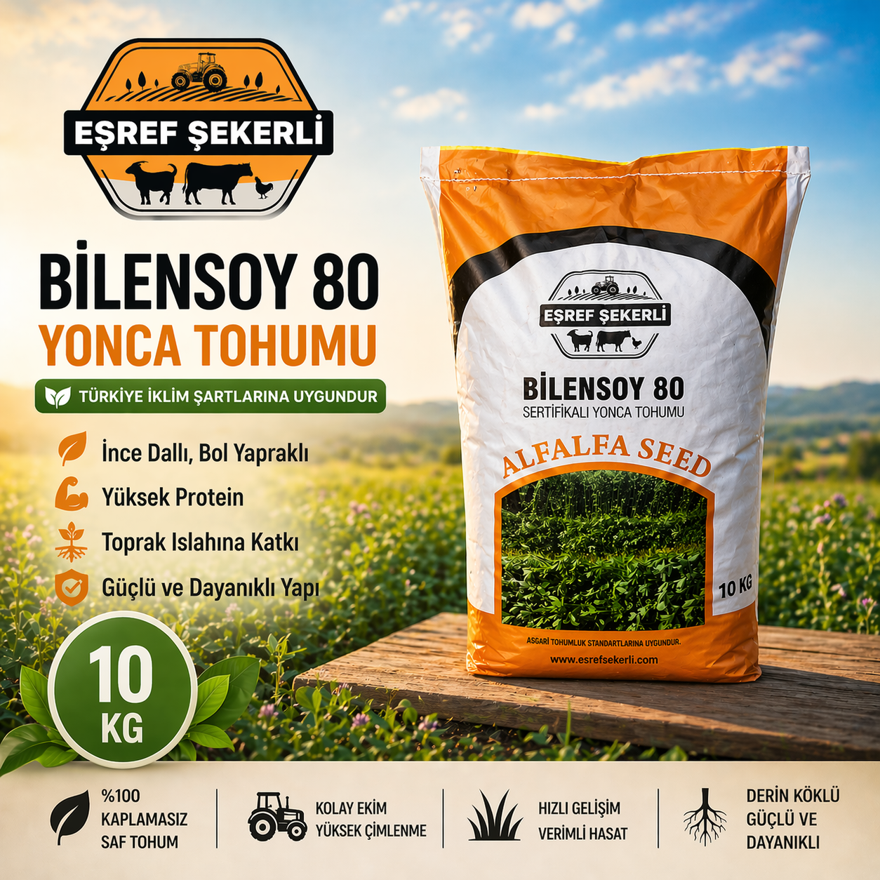 Bilensoy 80 Yonca Tohumu 10 Kg.