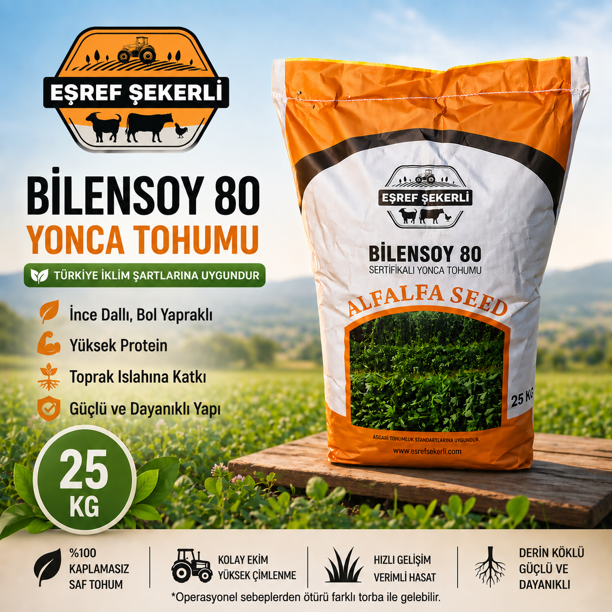 Bilensoy 80 Yonca Tohumu 25 Kg.