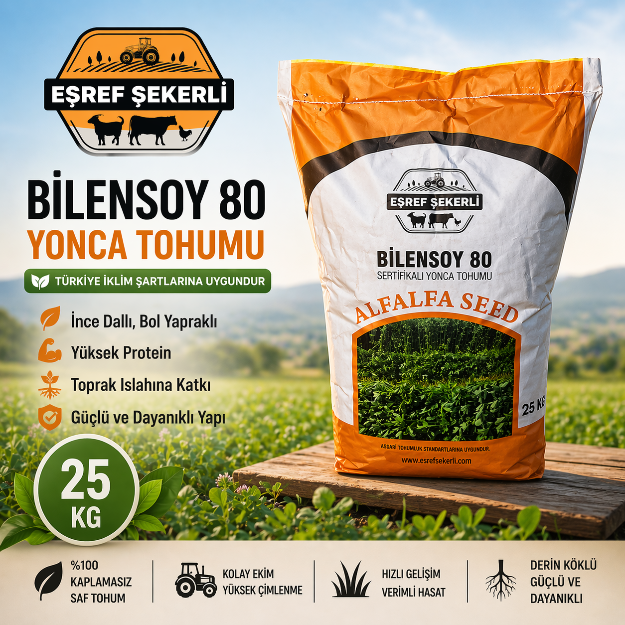 Bilensoy 80 Yonca Tohumu 25 Kg.
