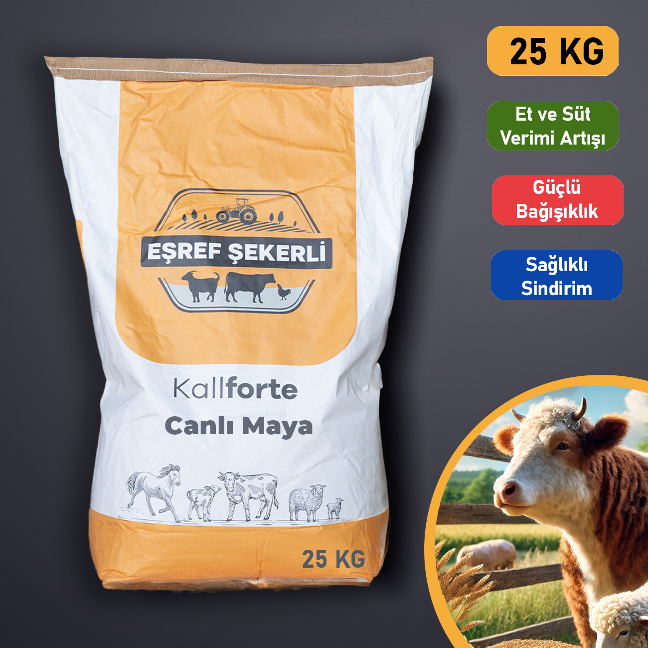 Canlı Maya 25 Kg.