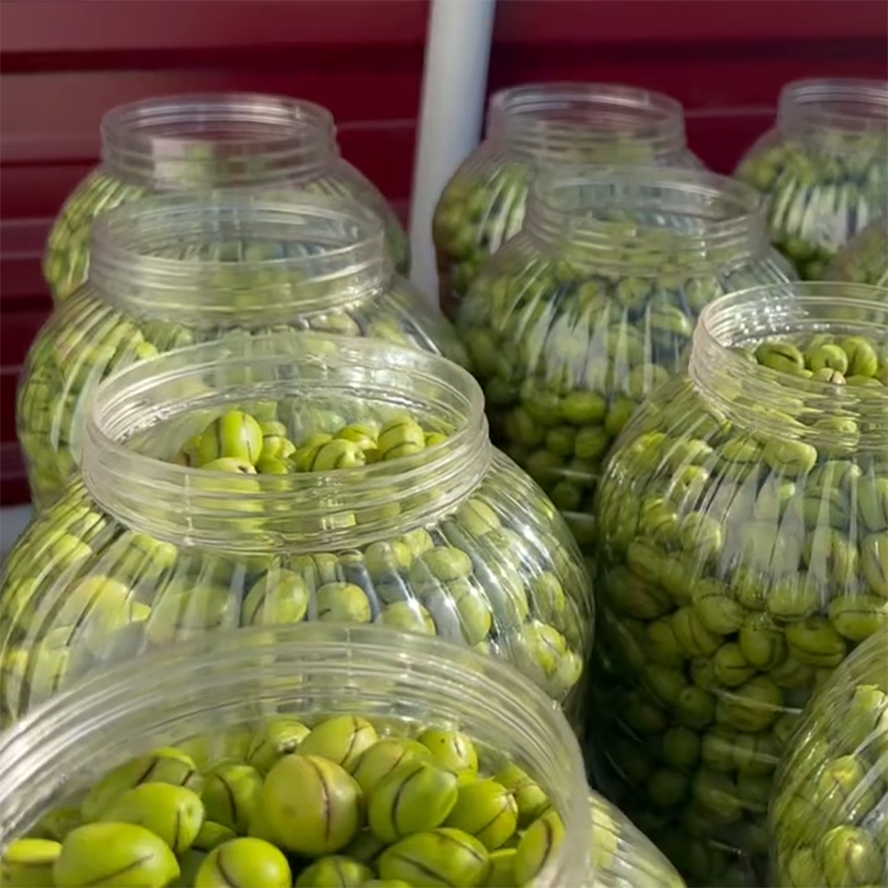 Kahramanmaraş Zeytini Salamura 3 Kg